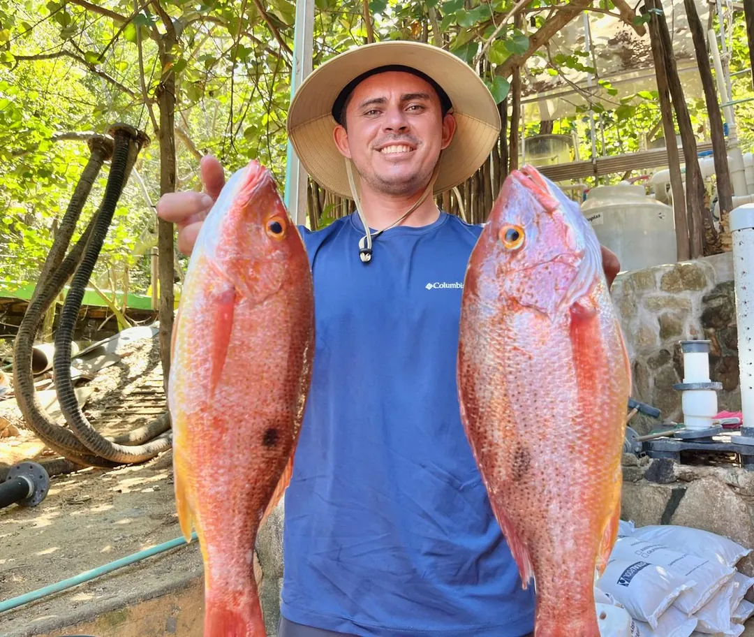 Pescado fresco